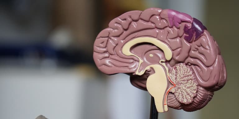 Hormonal Health